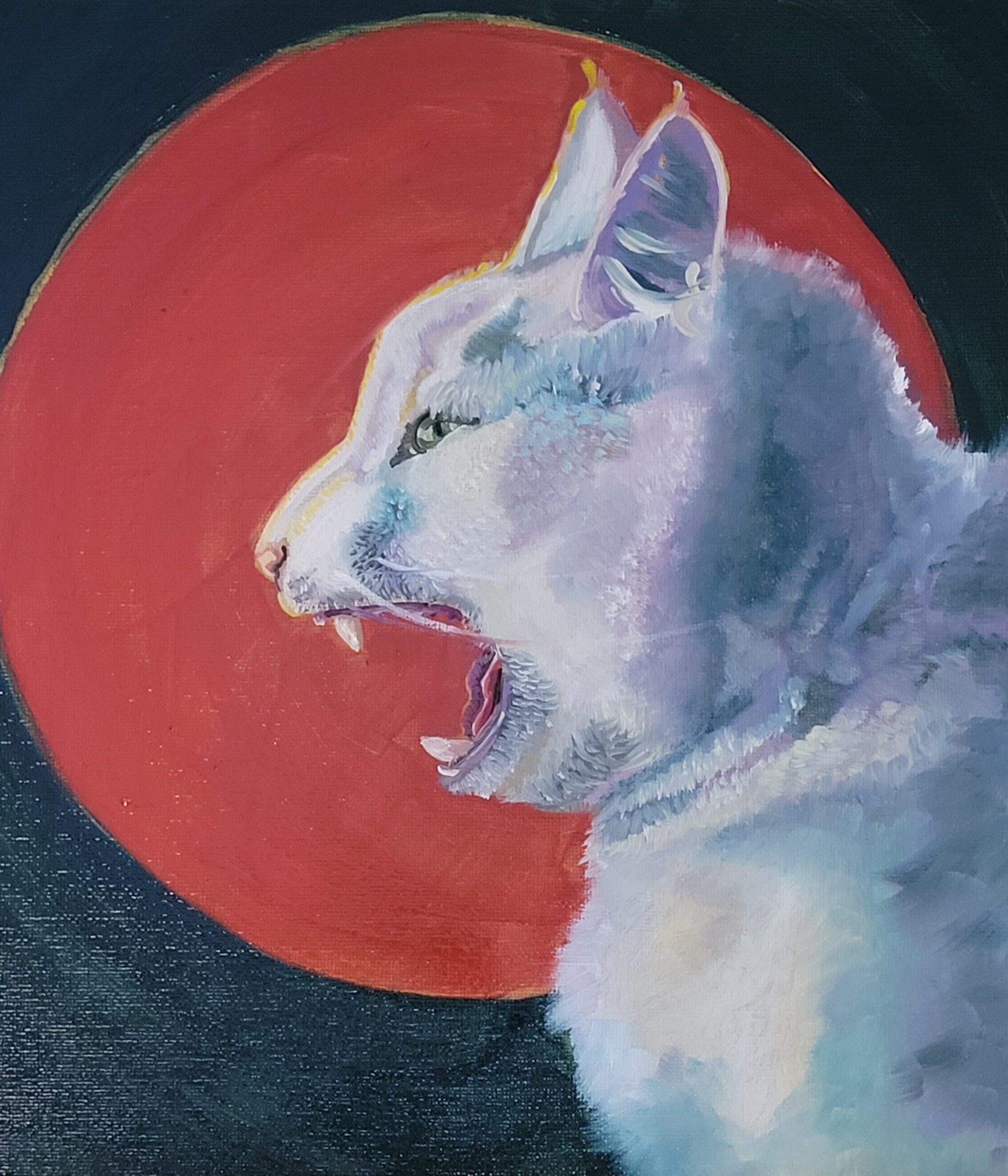 neighborhood artist Blood Moon Clowder Subscription Blood Moon Paintings Blood Moon Clowder serial blood moon clowder blood moon series Snowball Cat Portrait